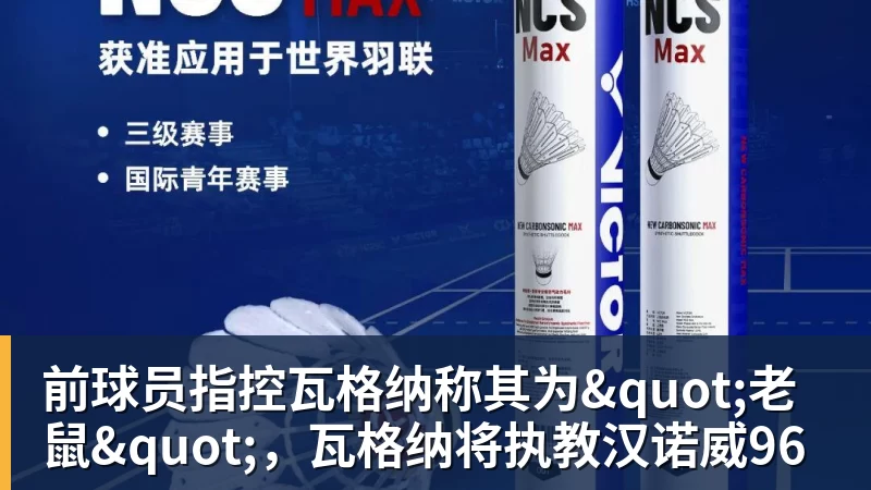 开云下注前球员指控瓦格纳称其为"老鼠"，瓦格纳将执教汉诺威96